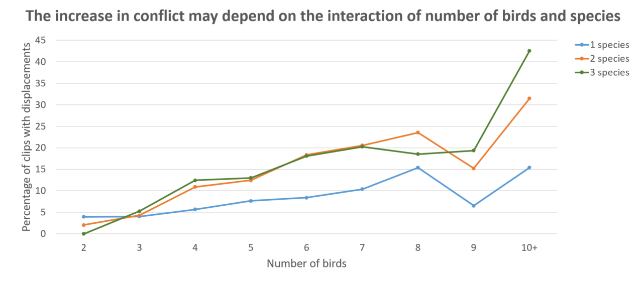 Line chart that shows that the percentage of clips may increase differently depending on the interaction of number of species and number of birds.