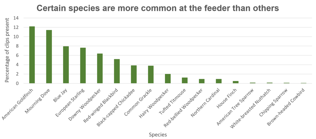 A bar chart showing that some species, like the American Goldfinch and Mourning Dove are the most common species because they are in the highest percentage of clips.