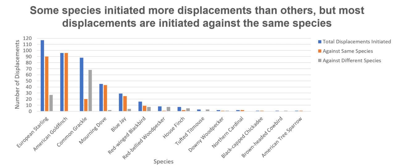A clustered bar chart that for each species show the total number of displacements initiated, the number of displacements against the same species, and the number of displacements are different species. A big take away is that most displacements are initiated against the same species.