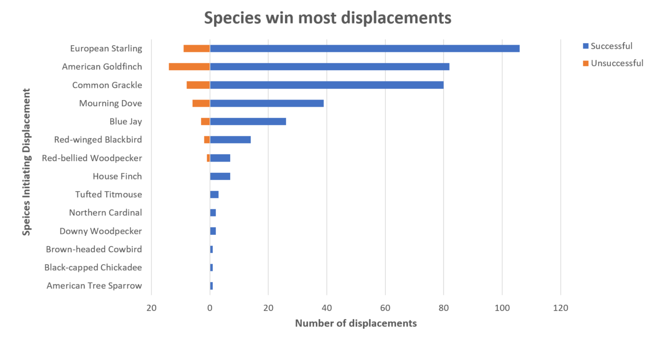 A horizontal bar chart that shows, for each species, how many displacements in which they were successful and unsuccessful. The main takeaway is that species are successful in most of the displacements.