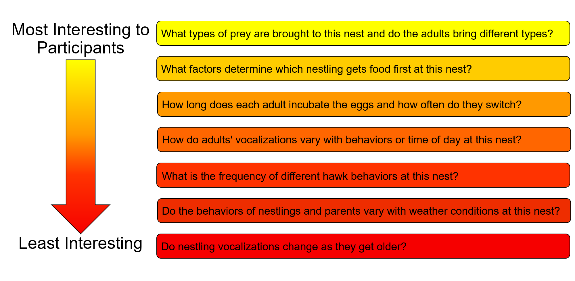 A visual ranking of the questions from those most interesting to participants in the Sorting Activity to those least interesting. The most interesting question is What types of prey are brought to the nest and do the adults bring different types?
