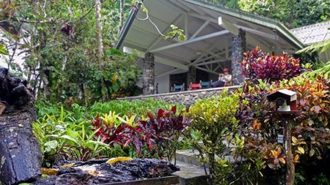 A picture of the Panama Fruit Feeder cam with the Canopy Lodge in view in the background.