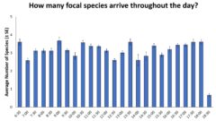 Bar chart showing the mean number of species arriving at the feeder for half-hour time intervals throughout the day. Shows the mean with