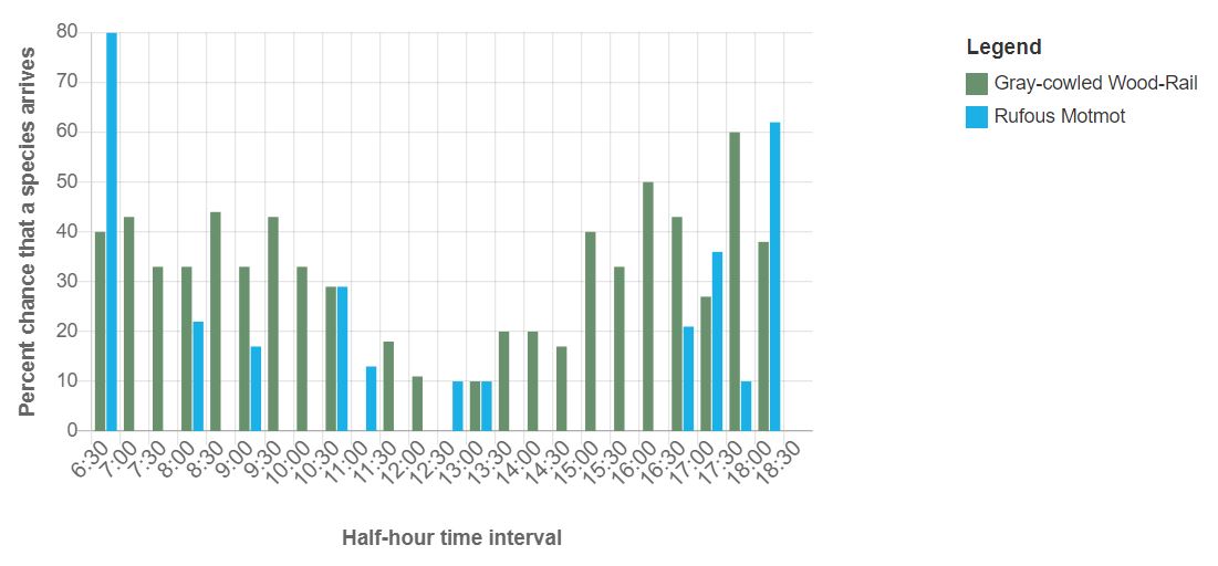 Clustered bar chart showing the percent chance two species, gray-cowled wood-rails and rufous motmot, have arriving at the feeder during half-hour time intervals throughout the day. The pattern appears bidmodal, with both species more likely to arrive in the morning and evening while less in the middle of the day.