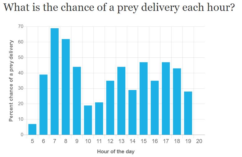 A bar chart showing the percent chance of a prey delivery across the hours of a day. The highest percent chance is about 75% in hour 7 and 8.