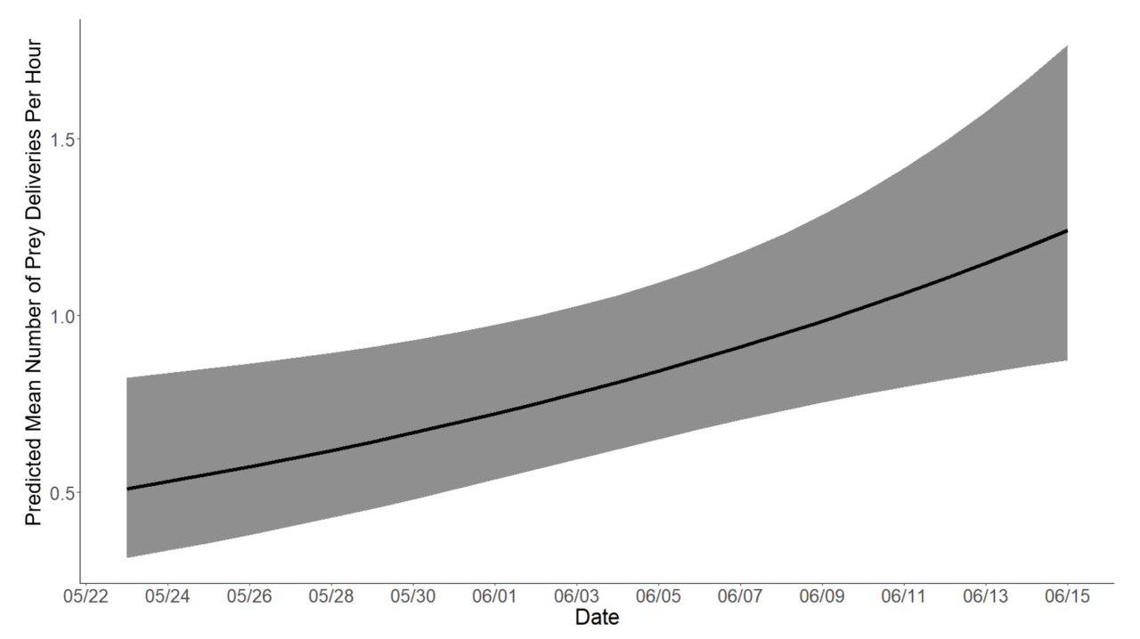A line graph with a gray 95% confidence interval around it, increasing from left to right.