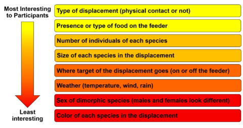 A visual of the voting results with teach piece of information ranked from most to least interesting. The information at the top is highlighted in yellow and it progressively becomes more red as it is positioned more towards the bottom. In order from most to least interesting to participants: type of displacement, presence or type of food on the feeder, number of individuals of each species, size of each species in the displacement, where target of the displacement goes, weather, sex of dimorphic species, and color of each species in the displacement.