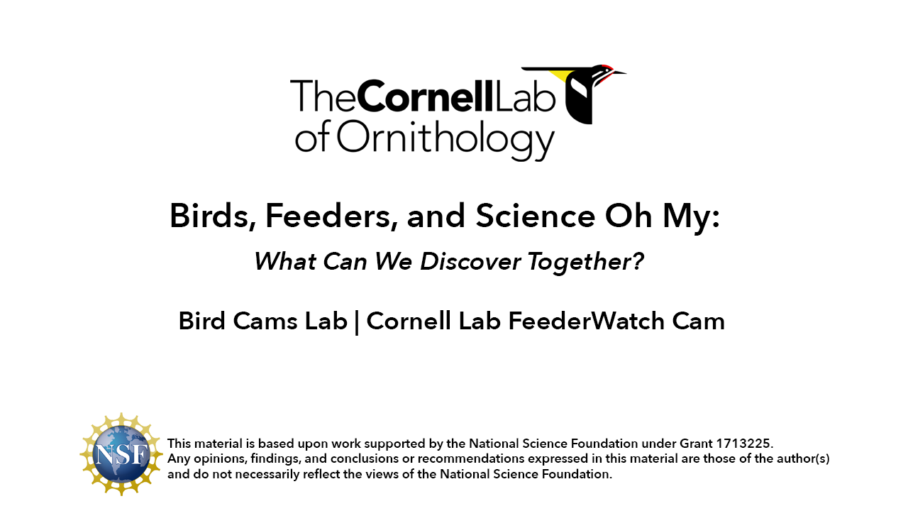 white background with the cornell lab logo and the title of the webinar. At the bottom is a disclaimer.