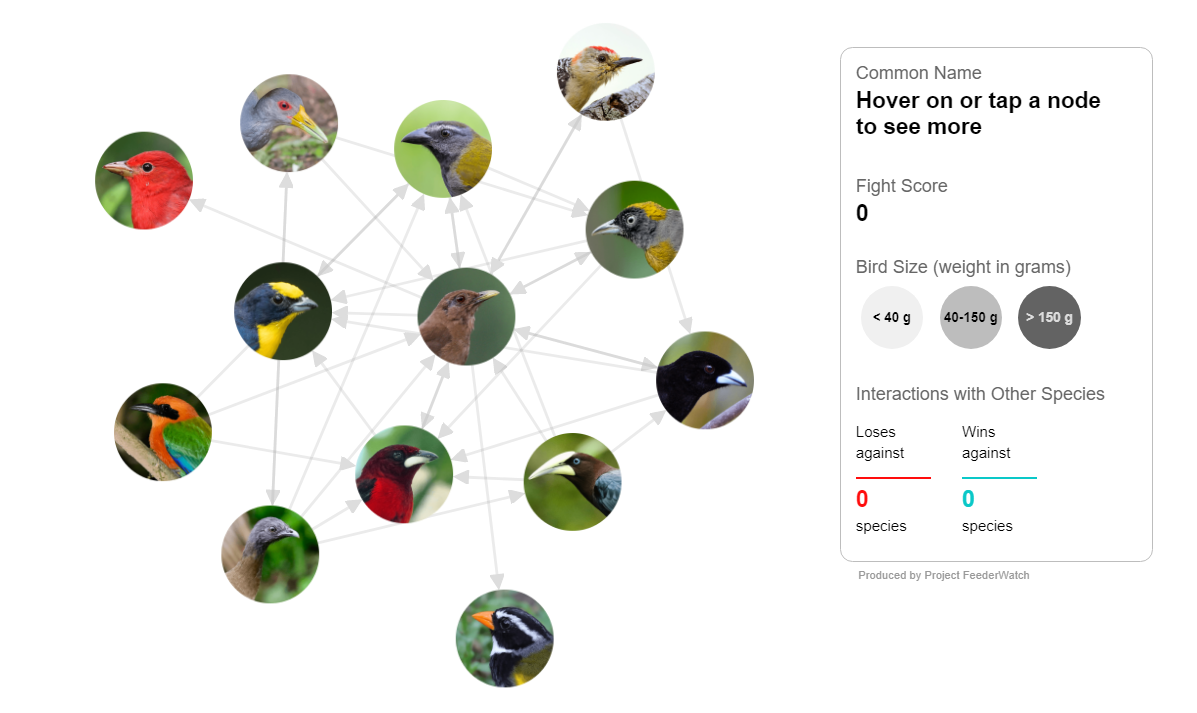 This is a screenshot of an interactive visualization. There are photographs of birds connected by gray arrows with a box to the right instructing user to hover over and interact with the photos. There are 13 photos.