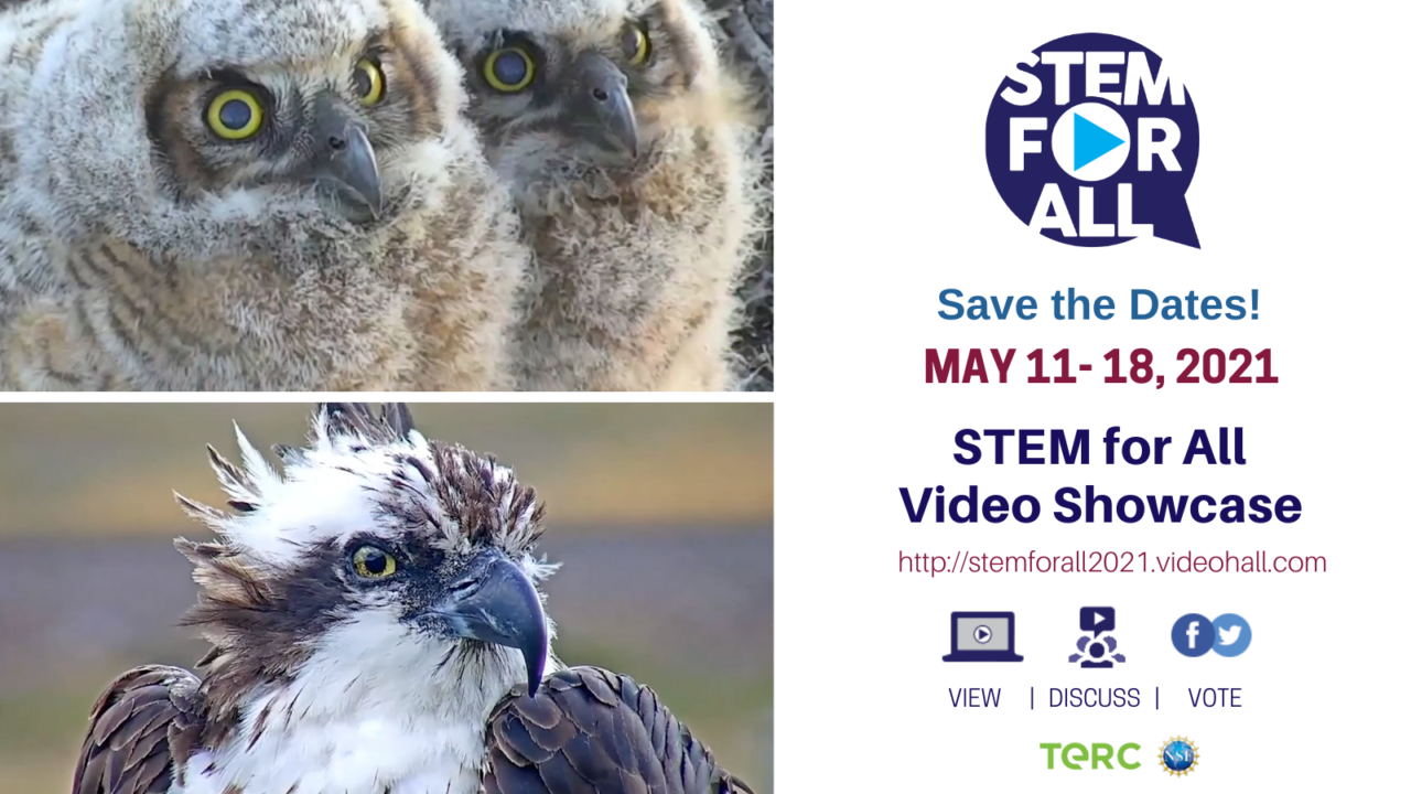 A photo of Great-Horned Owl nestlings is top left, photo of an osprey is bottom left, and on the right is information about the STEM For All Video Showcase. The text reads Save the Dates! May 11-18, 2021. STEM for All Video Showcase. There is a link: http://stemforall2021.videohall.com. There is also a logo for TERC and NSF and icon and accompanying text to illustrate that people are invited to view, discuss, and vote for the videos.