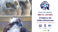 A photo of Great-Horned Owl nestlings is top left, photo of an osprey is bottom left, and on the right is information about the STEM For All Video Showcase. The text reads Save the Dates! May 11-18, 2021. STEM for All Video Showcase. There is a link: http://stemforall2021.videohall.com. There is also a logo for TERC and NSF and icon and accompanying text to illustrate that people are invited to view, discuss, and vote for the videos.