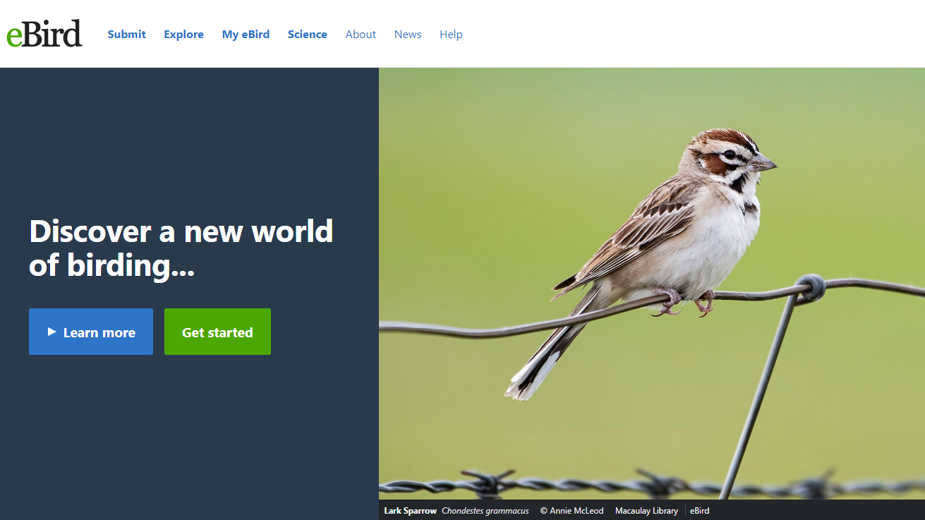 A screenshot of the eBird homepage. eBird is at the top left with "Bird" in black text and "e" in light green. Next to eBird is a navigation header. Below that is photo of a Lark Sparrow copy right Annie McLeod Macaulay Library. To the left of the photo is a dark blue blackground and white text "Discover a new world of birding..." and two buttons, one blue reading "Learn more" and a green button reading "get started."