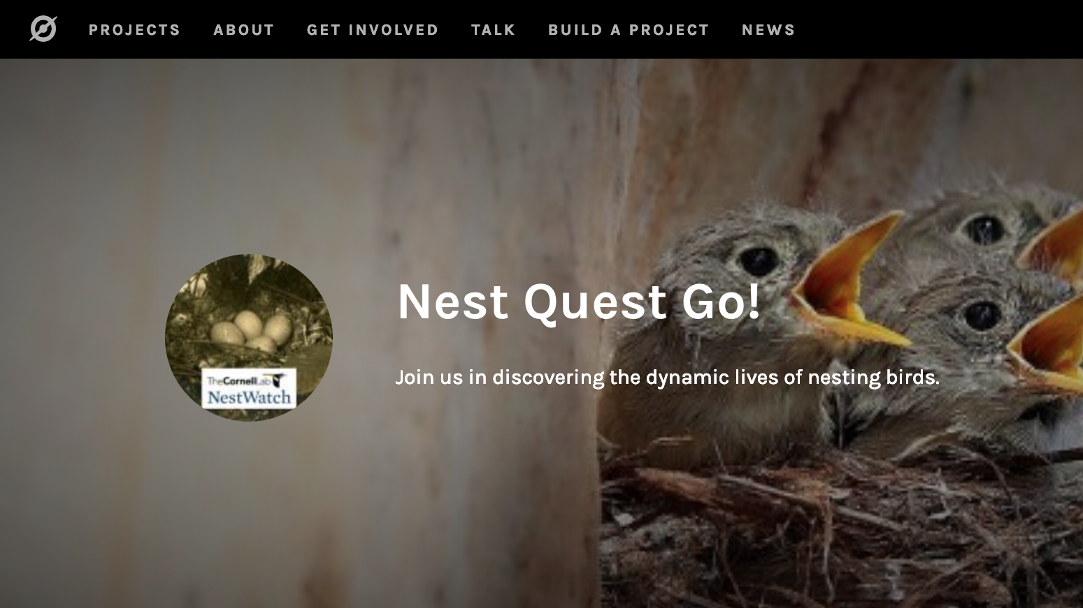 A screenshot of the Nest Quest Go! page on Zooniverse. The Zooniverse header navigation is at the top. There is a photo of three nestlings (baby birds) with their beaks open with text Nest Quest Go! Join us in discovering the dynamic lives of nesting birds overlayed. There is also a circle logo for the project that has the text The Cornell Lab NestWatch