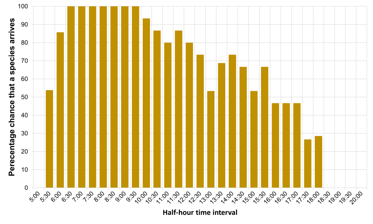A bar chart with yellow-green bars. The horizontal axis is half-hour time interval from 5:00 to 20:00 and the vertical axis is percent chance that a Blue Jay arrives from 0 to 100. The percent chance is highest from 6:00-9:30 at 90-100% and then decreases steadily until it reaches 0% at 18:30.