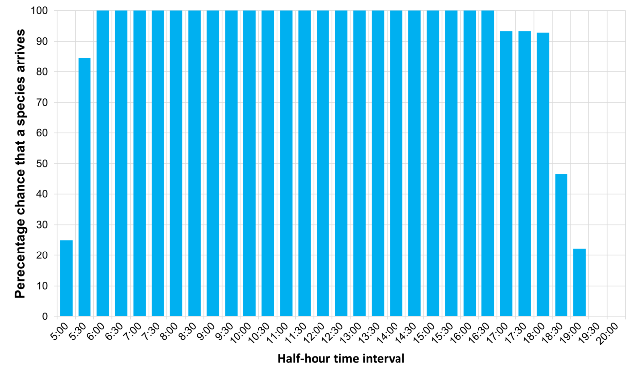 A bar chart with light blue bars. The horizontal axis is half-hour time interval from 5:00 to 20:00 and the vertical axis is percent chance that a species arrive from 0 to 100. The bars are at 100% for most of the day, from 6:00 to 16:30, and then 92% 17:00 to 18:00.