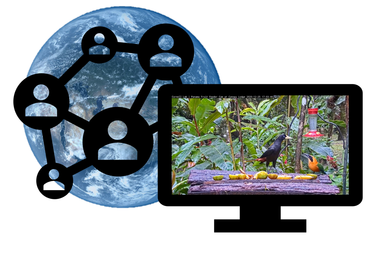A visual representation of the Bird Cams Lab project. A computer screen shows a screenshot from the Panama Fruit Feeder cam with two birds on the feeding table. Behind the computer is an image of the globe and overlayed are icons of people connected by lines to represent a network.